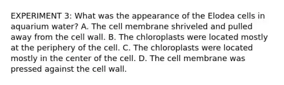 EXPERIMENT 3: What was the appearance of the Elodea cells in aquarium water? A. The cell membrane shriveled and pulled away from the cell wall. B. The chloroplasts were located mostly at the periphery of the cell. C. The chloroplasts were located mostly in the center of the cell. D. The cell membrane was pressed against the cell wall.