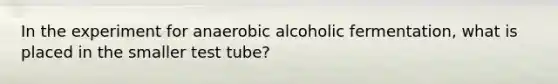 In the experiment for anaerobic alcoholic fermentation, what is placed in the smaller test tube?