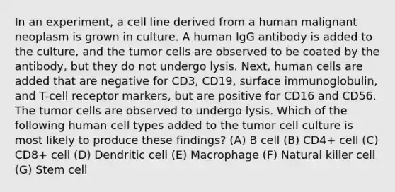 In an experiment, a cell line derived from a human malignant neoplasm is grown in culture. A human IgG antibody is added to the culture, and the tumor cells are observed to be coated by the antibody, but they do not undergo lysis. Next, human cells are added that are negative for CD3, CD19, surface immunoglobulin, and T-cell receptor markers, but are positive for CD16 and CD56. The tumor cells are observed to undergo lysis. Which of the following human cell types added to the tumor cell culture is most likely to produce these findings? (A) B cell (B) CD4+ cell (C) CD8+ cell (D) Dendritic cell (E) Macrophage (F) Natural killer cell (G) Stem cell