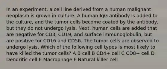 In an experiment, a cell line derived from a human malignant neoplasm is grown in culture. A human IgG antibody is added to the culture, and the tumor cells become coated by the antibody, but they do not undergo lysis. Next, human cells are added that are negative for CD3, CD19, and surface immunoglobulin, but are positive for CD16 and CD56. The tumor cells are observed to undergo lysis. Which of the following cell types is most likely to have killed the tumor cells? A B cell B CD4+ cell C CD8+ cell D Dendritic cell E Macrophage F Natural killer cell