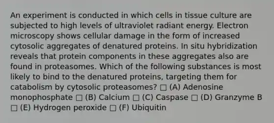 An experiment is conducted in which cells in tissue culture are subjected to high levels of ultraviolet radiant energy. Electron microscopy shows cellular damage in the form of increased cytosolic aggregates of denatured proteins. In situ hybridization reveals that protein components in these aggregates also are found in proteasomes. Which of the following substances is most likely to bind to the denatured proteins, targeting them for catabolism by cytosolic proteasomes? □ (A) Adenosine monophosphate □ (B) Calcium □ (C) Caspase □ (D) Granzyme B □ (E) Hydrogen peroxide □ (F) Ubiquitin