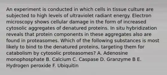 An experiment is conducted in which cells in tissue culture are subjected to high levels of ultraviolet radiant energy. Electron microscopy shows cellular damage in the form of increased cytosolic aggregates of denatured proteins. In situ hybridization reveals that protein components in these aggregates also are found in proteasomes. Which of the following substances is most likely to bind to the denatured proteins, targeting them for catabolism by cytosolic proteasomes? A. Adenosine monophosphate B. Calcium C. Caspase D. Granzyme B E. Hydrogen peroxide F. Ubiquitin