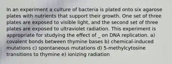 In an experiment a culture of bacteria is plated onto six agarose plates with nutrients that support their growth. One set of three plates are exposed to visible light, and the second set of three plates are exposed to ultraviolet radiation. This experiment is appropriate for studying the effect of _ on DNA replication. a) covalent bonds between thymine bases b) chemical-induced mutations c) spontaneous mutations d) 5-methylcytosine transitions to thymine e) ionizing radiation