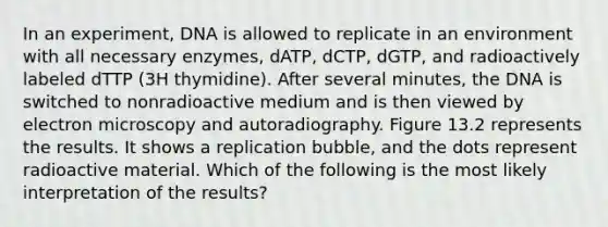 In an experiment, DNA is allowed to replicate in an environment with all necessary enzymes, dATP, dCTP, dGTP, and radioactively labeled dTTP (3H thymidine). After several minutes, the DNA is switched to nonradioactive medium and is then viewed by electron microscopy and autoradiography. Figure 13.2 represents the results. It shows a replication bubble, and the dots represent radioactive material. Which of the following is the most likely interpretation of the results?