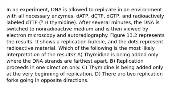 In an experiment, DNA is allowed to replicate in an environment with all necessary enzymes, dATP, dCTP, dGTP, and radioactively labeled dTTP (³ H thymidine). After several minutes, the DNA is switched to nonradioactive medium and is then viewed by electron microscopy and autoradiography. Figure 13.2 represents the results. It shows a replication bubble, and the dots represent radioactive material. Which of the following is the most likely interpretation of the results? A) Thymidine is being added only where the DNA strands are farthest apart. B) Replication proceeds in one direction only. C) Thymidine is being added only at the very beginning of replication. D) There are two replication forks going in opposite directions.