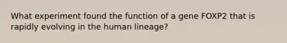 What experiment found the function of a gene FOXP2 that is rapidly evolving in the human lineage?