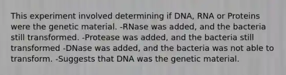 This experiment involved determining if DNA, RNA or Proteins were the genetic material. -RNase was added, and the bacteria still transformed. -Protease was added, and the bacteria still transformed -DNase was added, and the bacteria was not able to transform. -Suggests that DNA was the genetic material.