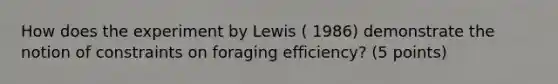 How does the experiment by Lewis ( 1986) demonstrate the notion of constraints on foraging efficiency? (5 points)