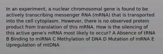 In an experiment, a nuclear chromosomal gene is found to be actively transcribing messenger RNA (mRNA) that is transported into the cell cytoplasm. However, there is no observed protein product from translation of this mRNA. How is the silencing of this active gene's mRNA most likely to occur? A Absence of tRNA B Binding to miRNA C Methylation of DNA D Mutation of mRNA E Upregulation of mtDNA