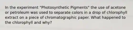 In the experiment "Photosynthetic Pigments" the use of acetone or petroleum was used to separate colors in a drop of chlorophyll extract on a piece of chromatographic paper. What happened to the chlorophyll and why?