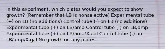 In this experiment, which plates would you expect to show growth? (Remember that LB is nonselective) Experimental tube (+) on LB (no additions) Control tube (-) on LB (no additions) Experimental tube (+) on LB/amp Control tube (-) on LB/amp Experimental tube (+) on LB/amp/X-gal Control tube (-) on LB/amp/X-gal No growth on any plates