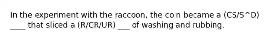 In the experiment with the raccoon, the coin became a (CS/S^D) ____ that sliced a (R/CR/UR) ___ of washing and rubbing.