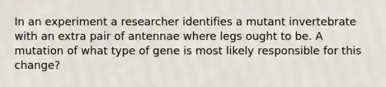 In an experiment a researcher identifies a mutant invertebrate with an extra pair of antennae where legs ought to be. A mutation of what type of gene is most likely responsible for this change?