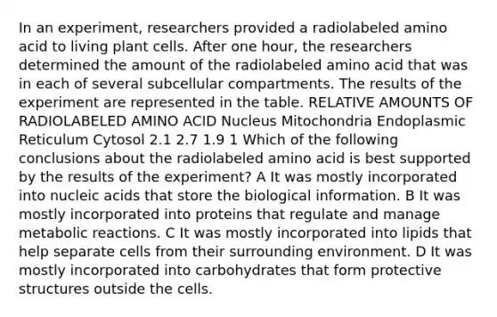 In an experiment, researchers provided a radiolabeled amino acid to living plant cells. After one hour, the researchers determined the amount of the radiolabeled amino acid that was in each of several subcellular compartments. The results of the experiment are represented in the table. RELATIVE AMOUNTS OF RADIOLABELED AMINO ACID Nucleus Mitochondria Endoplasmic Reticulum Cytosol 2.1 2.7 1.9 1 Which of the following conclusions about the radiolabeled amino acid is best supported by the results of the experiment? A It was mostly incorporated into nucleic acids that store the biological information. B It was mostly incorporated into proteins that regulate and manage metabolic reactions. C It was mostly incorporated into lipids that help separate cells from their surrounding environment. D It was mostly incorporated into carbohydrates that form protective structures outside the cells.