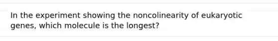 In the experiment showing the noncolinearity of eukaryotic genes, which molecule is the longest?