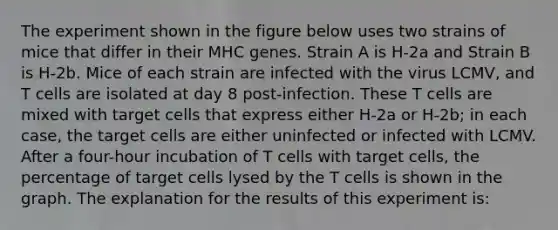 The experiment shown in the figure below uses two strains of mice that differ in their MHC genes. Strain A is H-2a and Strain B is H-2b. Mice of each strain are infected with the virus LCMV, and T cells are isolated at day 8 post-infection. These T cells are mixed with target cells that express either H-2a or H-2b; in each case, the target cells are either uninfected or infected with LCMV. After a four-hour incubation of T cells with target cells, the percentage of target cells lysed by the T cells is shown in the graph. The explanation for the results of this experiment is: