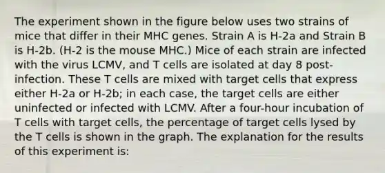 The experiment shown in the figure below uses two strains of mice that differ in their MHC genes. Strain A is H-2a and Strain B is H-2b. (H-2 is the mouse MHC.) Mice of each strain are infected with the virus LCMV, and T cells are isolated at day 8 post-infection. These T cells are mixed with target cells that express either H-2a or H-2b; in each case, the target cells are either uninfected or infected with LCMV. After a four-hour incubation of T cells with target cells, the percentage of target cells lysed by the T cells is shown in the graph. The explanation for the results of this experiment is: