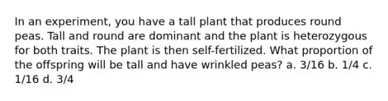 In an experiment, you have a tall plant that produces round peas. Tall and round are dominant and the plant is heterozygous for both traits. The plant is then self-fertilized. What proportion of the offspring will be tall and have wrinkled peas? a. 3/16 b. 1/4 c. 1/16 d. 3/4