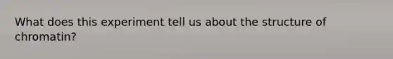 What does this experiment tell us about the structure of chromatin?