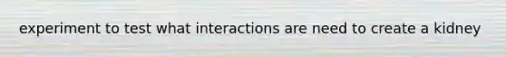 experiment to test what interactions are need to create a kidney