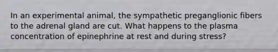 In an experimental animal, the sympathetic preganglionic fibers to the adrenal gland are cut. What happens to the plasma concentration of epinephrine at rest and during stress?