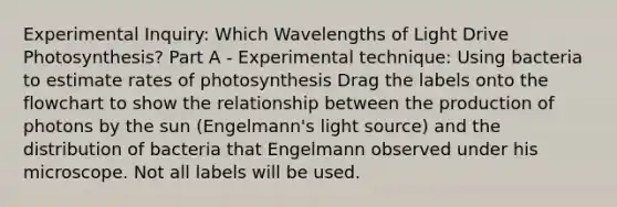 Experimental Inquiry: Which Wavelengths of Light Drive Photosynthesis? Part A - Experimental technique: Using bacteria to estimate rates of photosynthesis Drag the labels onto the flowchart to show the relationship between the production of photons by the sun (Engelmann's light source) and the distribution of bacteria that Engelmann observed under his microscope. Not all labels will be used.