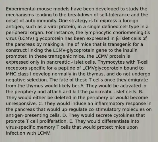 Experimental mouse models have been developed to study the mechanisms leading to the breakdown of self-tolerance and the onset of autoimmunity. One strategy is to express a foreign antigen, such as a viral protein, in a single defined cell type in a peripheral organ. For instance, the lymphocytic choriomeningitis virus (LCMV) glycoprotein has been expressed in β-islet cells of the pancreas by making a line of mice that is transgenic for a construct linking the LCMV-glycoprotein gene to the insulin promoter. In these transgenic mice, the LCMV protein is expressed only in pancreatic - islet cells. Thymocytes with T-cell receptors specific for a peptide of LCMVglycoprotein bound to MHC class I develop normally in the thymus, and do not undergo negative selection. The fate of these T cells once they emigrate from the thymus would likely be: A. They would be activated in the periphery and attach and kill the pancreatic -islet cells. B. They would either be deleted in the periphery or would become unresponsive. C. They would induce an inflammatory response in the pancreas that would up-regulate co-stimulatory molecules on antigen-presenting cells. D. They would secrete cytokines that promote T cell proliferation. E. They would differentiate into virus-specific memory T cells that would protect mice upon infection with LCMV.