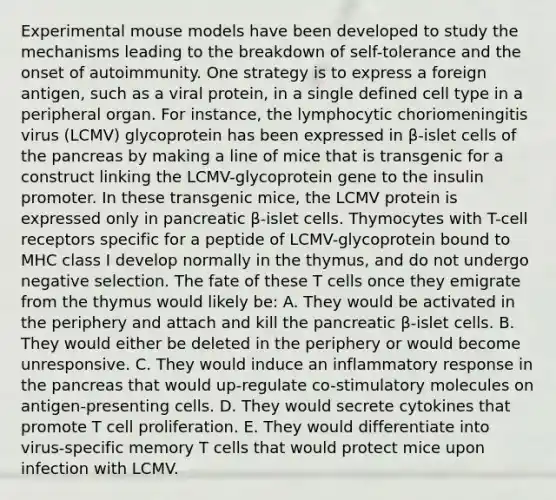 Experimental mouse models have been developed to study the mechanisms leading to the breakdown of self-tolerance and the onset of autoimmunity. One strategy is to express a foreign antigen, such as a viral protein, in a single defined cell type in a peripheral organ. For instance, the lymphocytic choriomeningitis virus (LCMV) glycoprotein has been expressed in β-islet cells of the pancreas by making a line of mice that is transgenic for a construct linking the LCMV-glycoprotein gene to the insulin promoter. In these transgenic mice, the LCMV protein is expressed only in pancreatic β-islet cells. Thymocytes with T-cell receptors specific for a peptide of LCMV-glycoprotein bound to MHC class I develop normally in the thymus, and do not undergo negative selection. The fate of these T cells once they emigrate from the thymus would likely be: A. They would be activated in the periphery and attach and kill the pancreatic β-islet cells. B. They would either be deleted in the periphery or would become unresponsive. C. They would induce an inflammatory response in the pancreas that would up-regulate co-stimulatory molecules on antigen-presenting cells. D. They would secrete cytokines that promote T cell proliferation. E. They would differentiate into virus-specific memory T cells that would protect mice upon infection with LCMV.