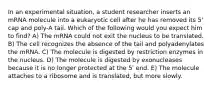 In an experimental situation, a student researcher inserts an mRNA molecule into a eukaryotic cell after he has removed its 5' cap and poly-A tail. Which of the following would you expect him to find? A) The mRNA could not exit the nucleus to be translated. B) The cell recognizes the absence of the tail and polyadenylates the mRNA. C) The molecule is digested by restriction enzymes in the nucleus. D) The molecule is digested by exonucleases because it is no longer protected at the 5' end. E) The molecule attaches to a ribosome and is translated, but more slowly.