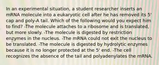 In an experimental situation, a student researcher inserts an mRNA molecule into a eukaryotic cell after he has removed its 5' cap and poly-A tail. Which of the following would you expect him to find? -The molecule attaches to a ribosome and is translated, but more slowly. -The molecule is digested by restriction enzymes in the nucleus. -The mRNA could not exit the nucleus to be translated. -The molecule is digested by hydrolytic enzymes because it is no longer protected at the 5' end. -The cell recognizes the absence of the tail and polyadenylates the mRNA.