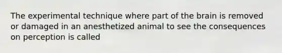 The experimental technique where part of <a href='https://www.questionai.com/knowledge/kLMtJeqKp6-the-brain' class='anchor-knowledge'>the brain</a> is removed or damaged in an anesthetized animal to see the consequences on perception is called