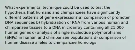 What experimental technique could be used to test the hypothesis that humans and chimpanzees have significantly different patterns of gene expression? a) comparison of promoter DNA sequences b) hybridization of RNA from various human and chimpanzee tissues to a DNA microarray containing all 21,000 human genes c) analysis of single nucleotide polymorphisms (SNPs) in human and chimpanzee populations d) comparison of human disease alleles to chimpanzee homologs