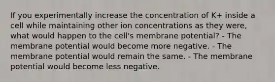 If you experimentally increase the concentration of K+ inside a cell while maintaining other ion concentrations as they were, what would happen to the cell's membrane potential? - The membrane potential would become more negative. - The membrane potential would remain the same. - The membrane potential would become less negative.