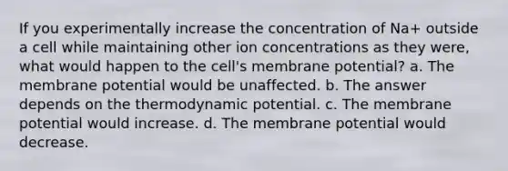 If you experimentally increase the concentration of Na+ outside a cell while maintaining other ion concentrations as they were, what would happen to the cell's membrane potential? a. The membrane potential would be unaffected. b. The answer depends on the thermodynamic potential. c. The membrane potential would increase. d. The membrane potential would decrease.