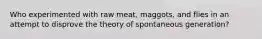 Who experimented with raw meat, maggots, and flies in an attempt to disprove the theory of spontaneous generation?