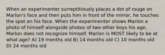 When an experimenter surreptitiously places a dot of rouge on Marlon's face and then puts him in front of the mirror, he touches the spot on his face. When the experimenter shows Marlon a photo of himself alongside photos of two other boys his age, Marlon does not recognize himself. Marlon is MOST likely to be at what age? A) 19 months old B) 14 months old C) 10 months old D) 24 months old