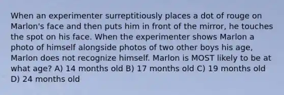 When an experimenter surreptitiously places a dot of rouge on Marlon's face and then puts him in front of the mirror, he touches the spot on his face. When the experimenter shows Marlon a photo of himself alongside photos of two other boys his age, Marlon does not recognize himself. Marlon is MOST likely to be at what age? A) 14 months old B) 17 months old C) 19 months old D) 24 months old