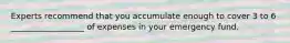 Experts recommend that you accumulate enough to cover 3 to 6 __________________ of expenses in your emergency fund.