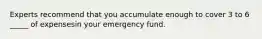 Experts recommend that you accumulate enough to cover 3 to 6 _____ of expensesin your emergency fund.