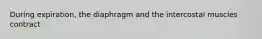 During expiration, the diaphragm and the intercostal muscles contract