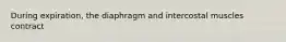 During expiration, the diaphragm and intercostal muscles contract