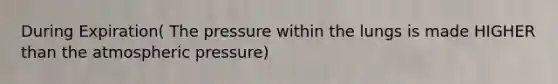 During Expiration( The pressure within the lungs is made HIGHER than the atmospheric pressure)