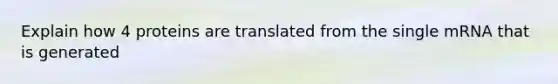 Explain how 4 proteins are translated from the single mRNA that is generated