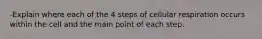 -Explain where each of the 4 steps of cellular respiration occurs within the cell and the main point of each step.