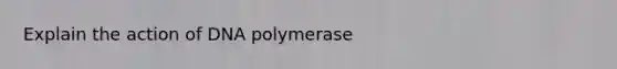 Explain the action of DNA polymerase