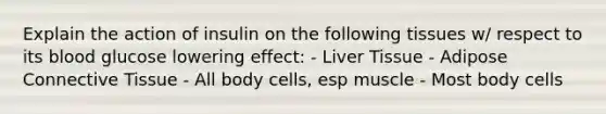 Explain the action of insulin on the following tissues w/ respect to its blood glucose lowering effect: - Liver Tissue - Adipose <a href='https://www.questionai.com/knowledge/kYDr0DHyc8-connective-tissue' class='anchor-knowledge'>connective tissue</a> - All body cells, esp muscle - Most body cells