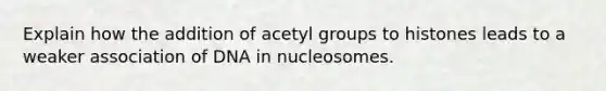 Explain how the addition of acetyl groups to histones leads to a weaker association of DNA in nucleosomes.