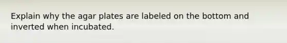 Explain why the agar plates are labeled on the bottom and inverted when incubated.