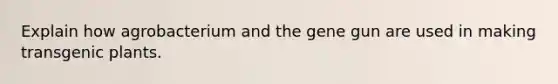 Explain how agrobacterium and the gene gun are used in making transgenic plants.