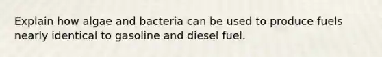 Explain how algae and bacteria can be used to produce fuels nearly identical to gasoline and diesel fuel.